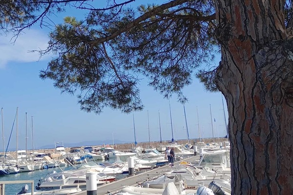 Marina