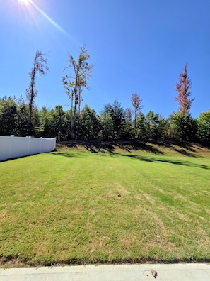 Une zone herbeuse avec des arbres et un mur blanc.