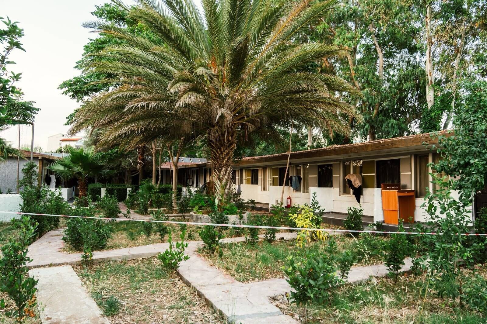 A row of single-story buildings with a central palm tree, surrounded by various plants and a paved walkway.