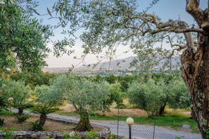 Villa | Property grounds - Villa Near Lucca With Vineyard Views (Lucca)