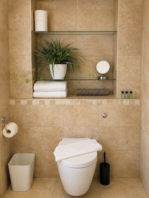 A bathroom with a toilet, a trash bin, a toilet paper holder, a sink with a mirror, a glass shelf with a plant, and a towel rack. - Raven Suite - 4 | Central Location (Shropshire)