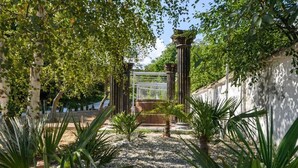 A garden with a pergola, palm trees, and a white wall. - Virginia Gardens  (Baile Govora)