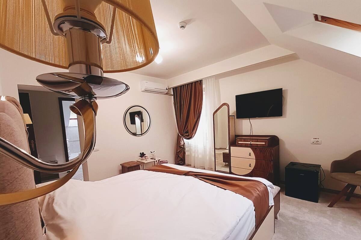 Habitación de hotel con cama, escritorio, silla, televisión, espejo y ventilador de techo.