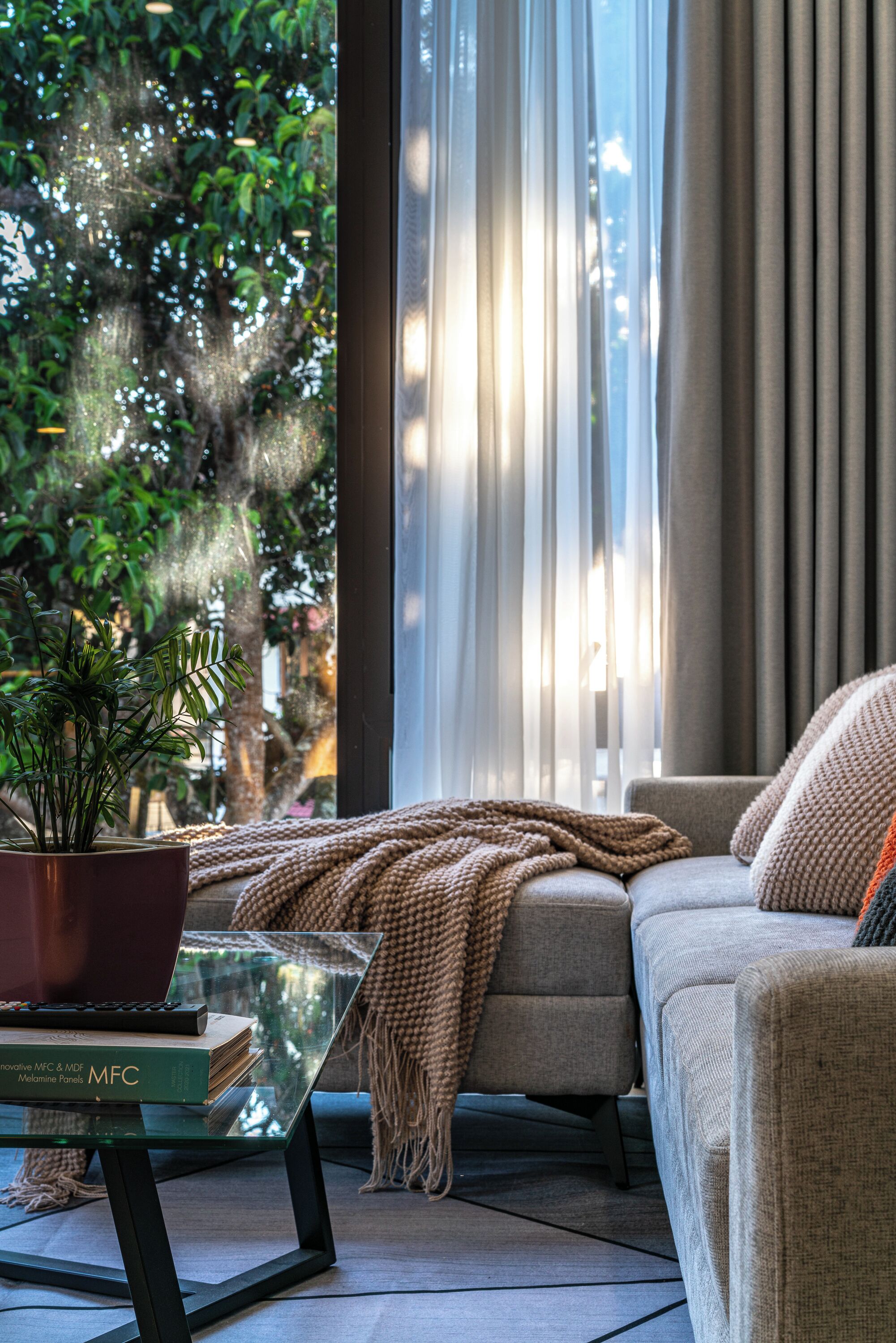 A modern living room with a sofa, a glass coffee table, a potted plant, and a view of greenery outside.