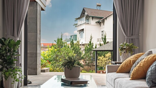 A living room with a sofa, a coffee table, and a potted plant.