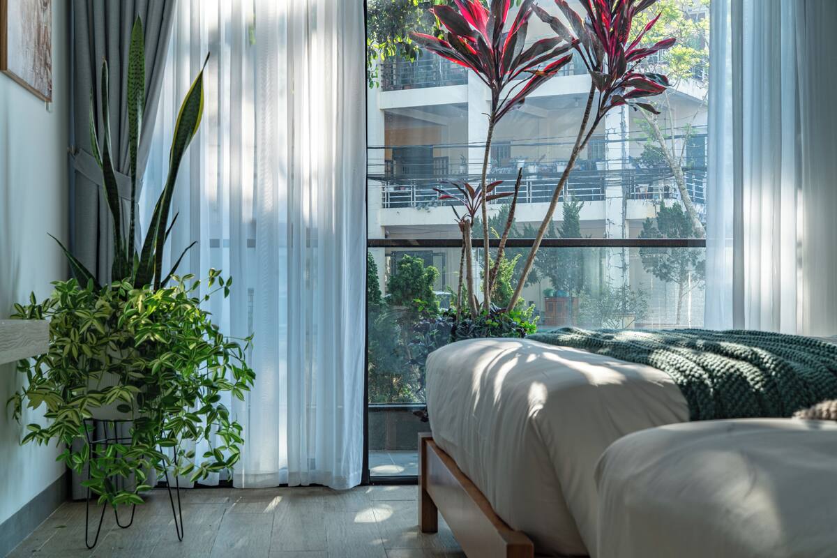 Un dormitorio con una cama, una planta en maceta y vistas de un edificio a través de una ventana.