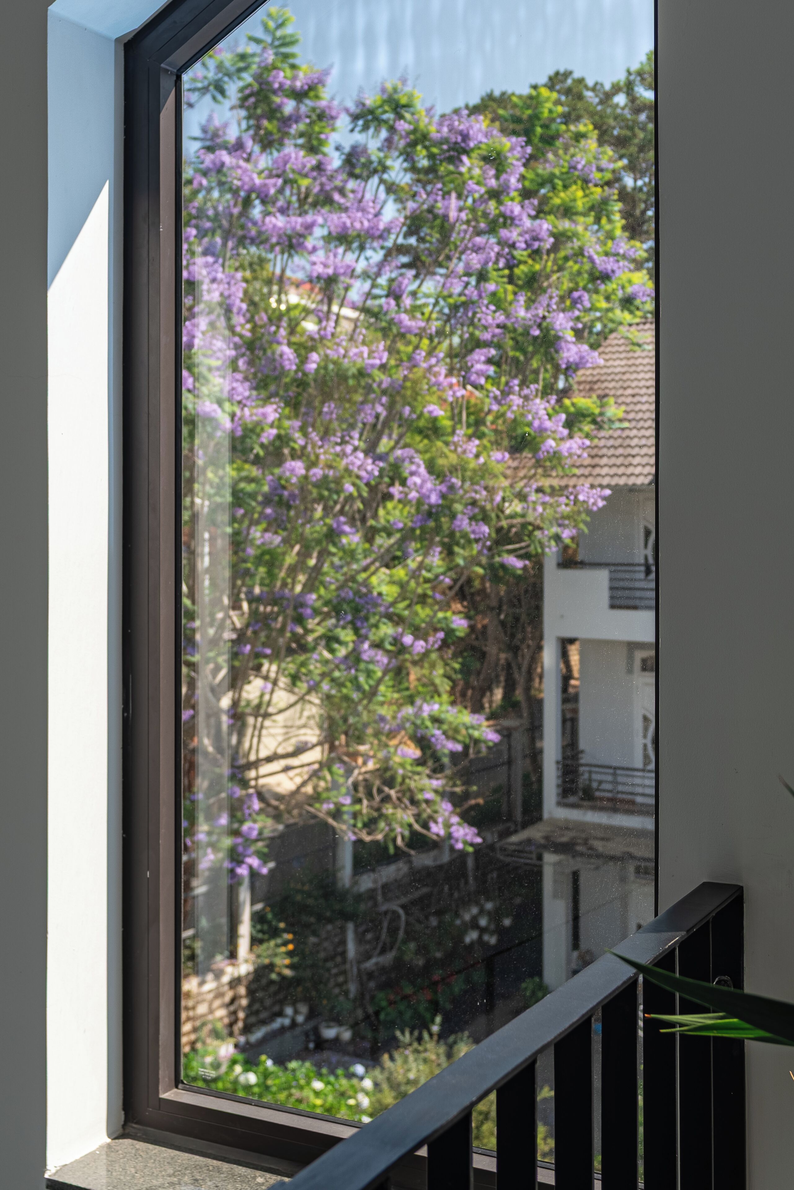 A window with a view of a tree with purple flowers, a balcony railing, and a building in the background.