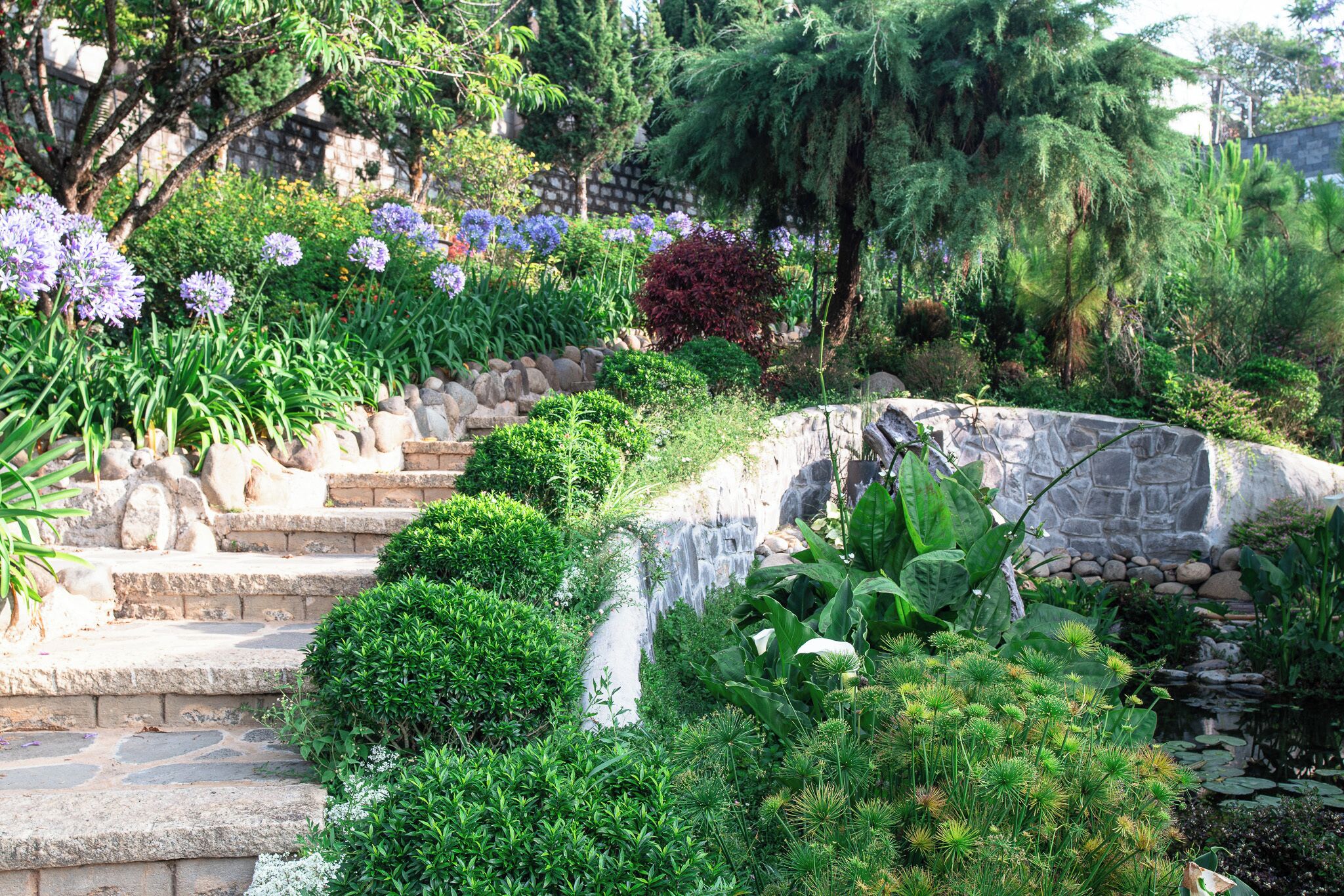 A garden with stone steps leading to a pond, surrounded by various plants and trees.