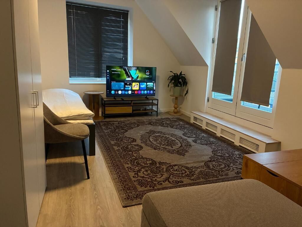 A bedroom with a bed, a TV, a desk, a chair, a window, and a plant.