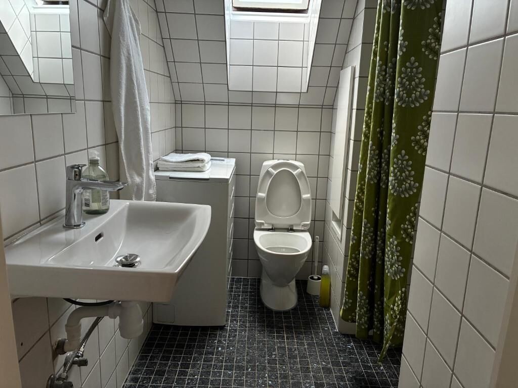 Ett badrum med handfat, toalett och duschdraperi.