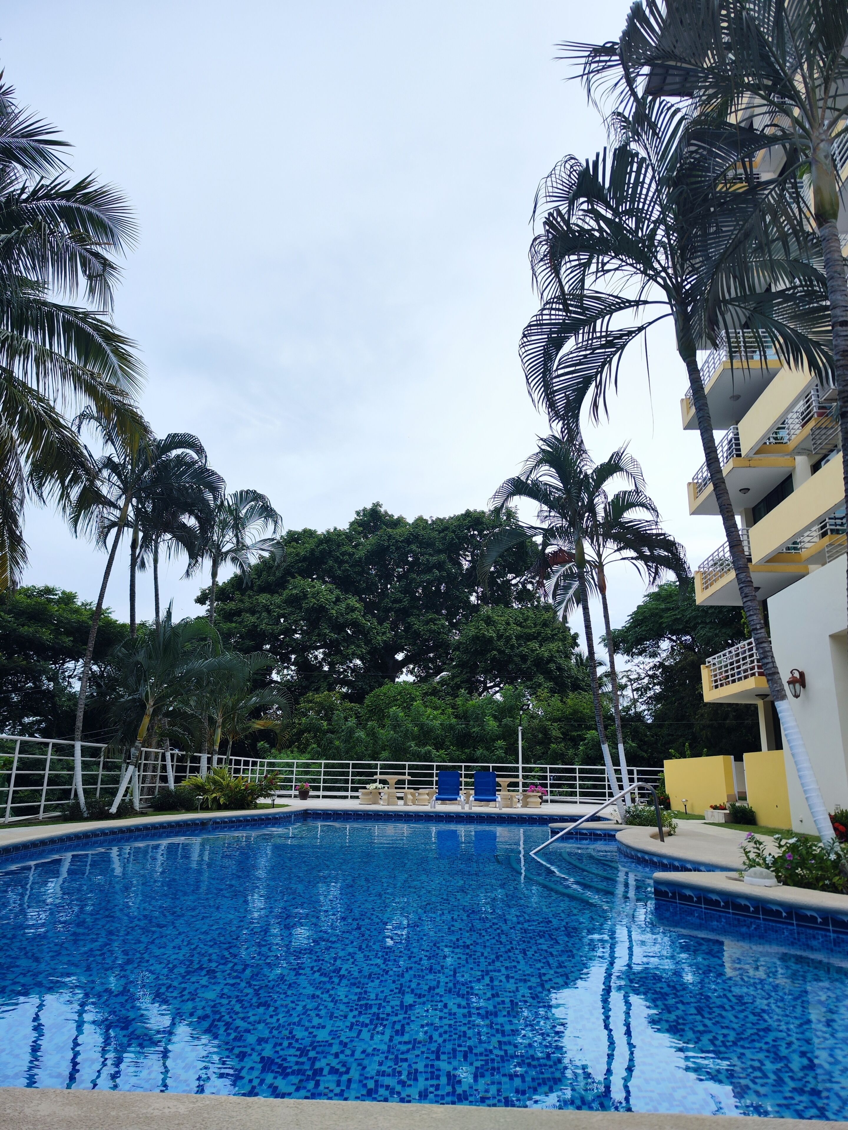 Ein Pool, umgeben von Palmen und einem Gebäude mit Balkonen.
