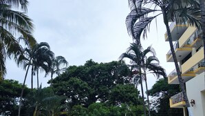Una piscina rodeada de palmeras y un edificio con balcones.