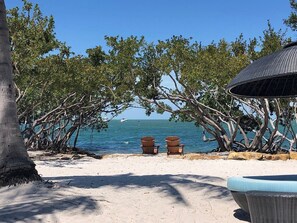 Sun-loungers, beach towels - Hyatt Beach House Key West - 2 bedroom (Key West)