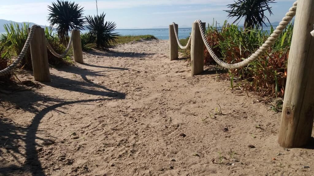 A sandy pathway with rope barriers, leading to a beach with palm trees and ocean view.