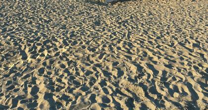 Les Embruns des Îlots bleus - sea views just a stone's throw from the beach!