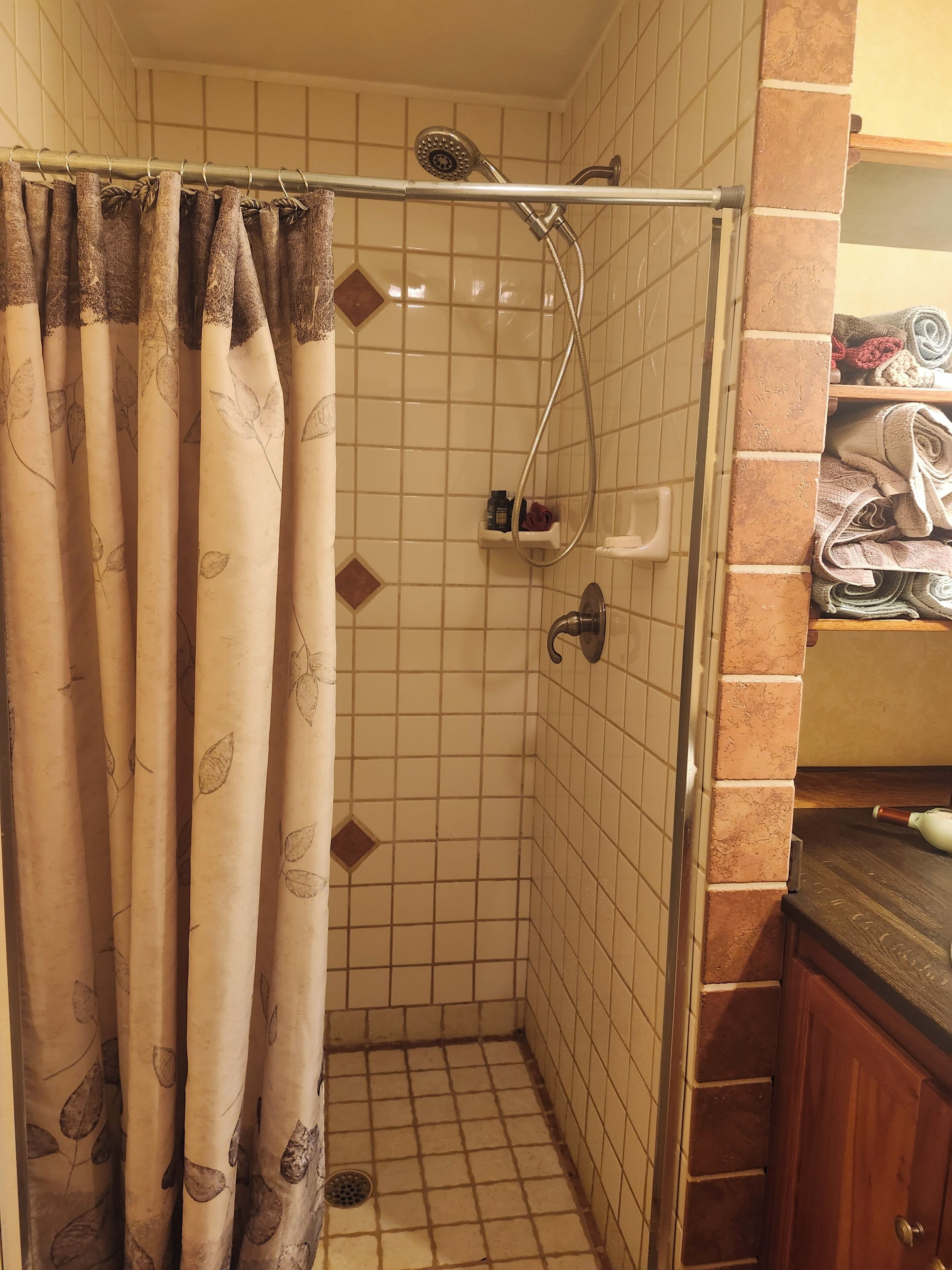 Une douche avec une porte en verre, un porte-serviettes et une étagère pour les articles de toilette.