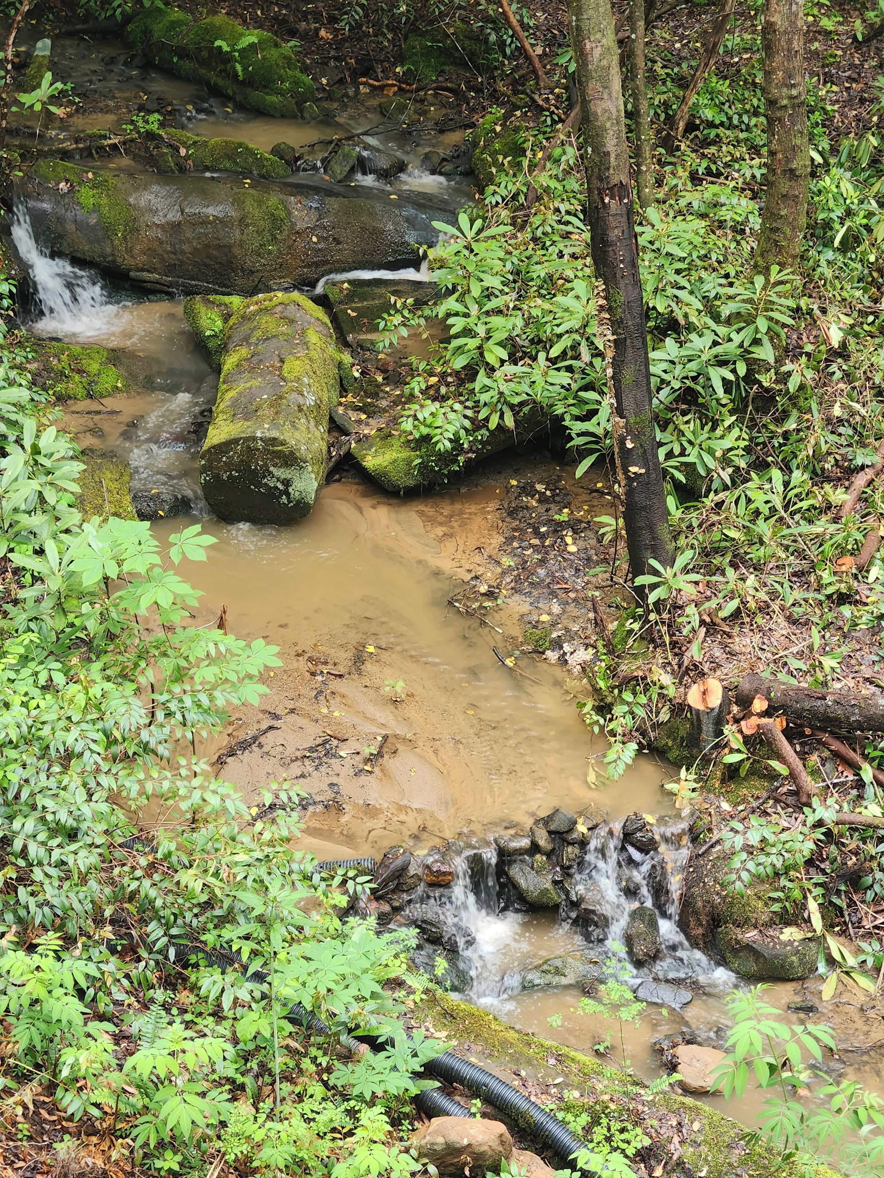 A natural stream with rocks and foliage.