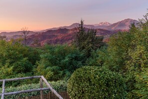 Eine gebirgige Landschaft mit dichtem Wald und einem Holzzaun.