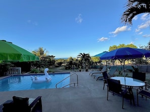 Pool - Vieques BioBay B&B,The Turtle Room:Sleep Under the Stars, Paddle the Glowing Bay (Vieques)