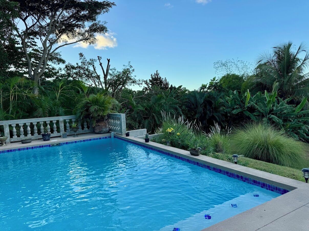 A rectangular swimming pool with a tiled edge, surrounded by lush greenery and a stone balustrade.