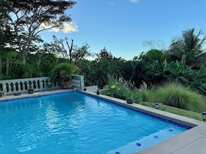 Pool - Vieques BioBay B&B,The Turtle Room:Sleep Under the Stars, Paddle the Glowing Bay (Vieques)