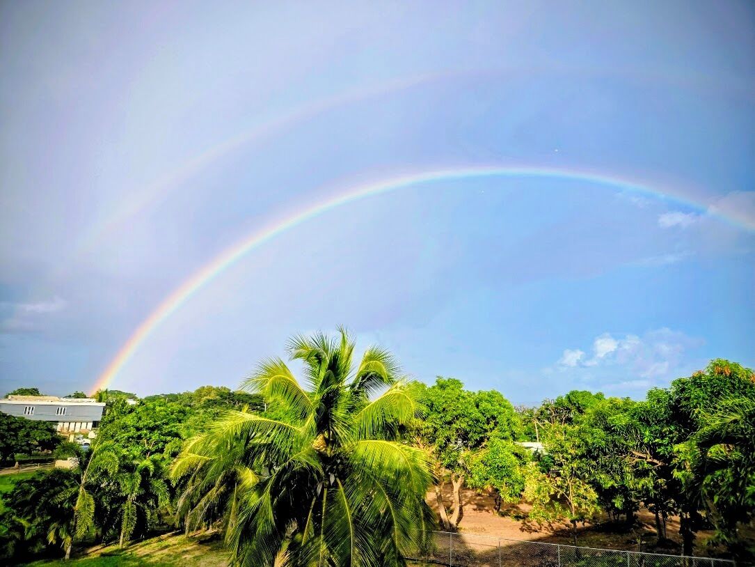 Un paysage avec un arc-en-ciel, des palmiers et un bâtiment en arrière-plan.