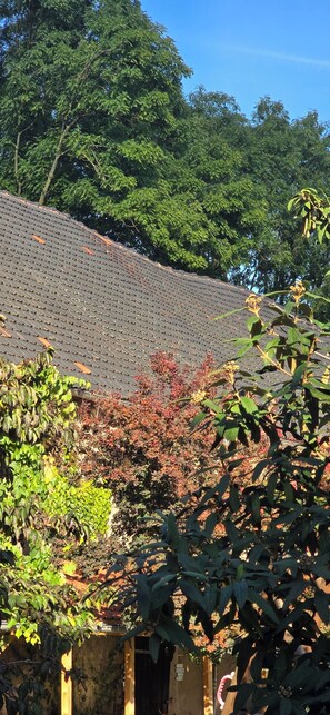 Exterior - Vrbo Property (Geithain)