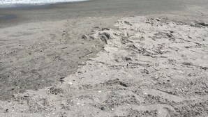 A beach with waves, a clear sky, and a sandy shore. -  Scenic Golf Course View Retreat - UPDATED 2BR Condo-Close to Beach (North Myrtle Beach)