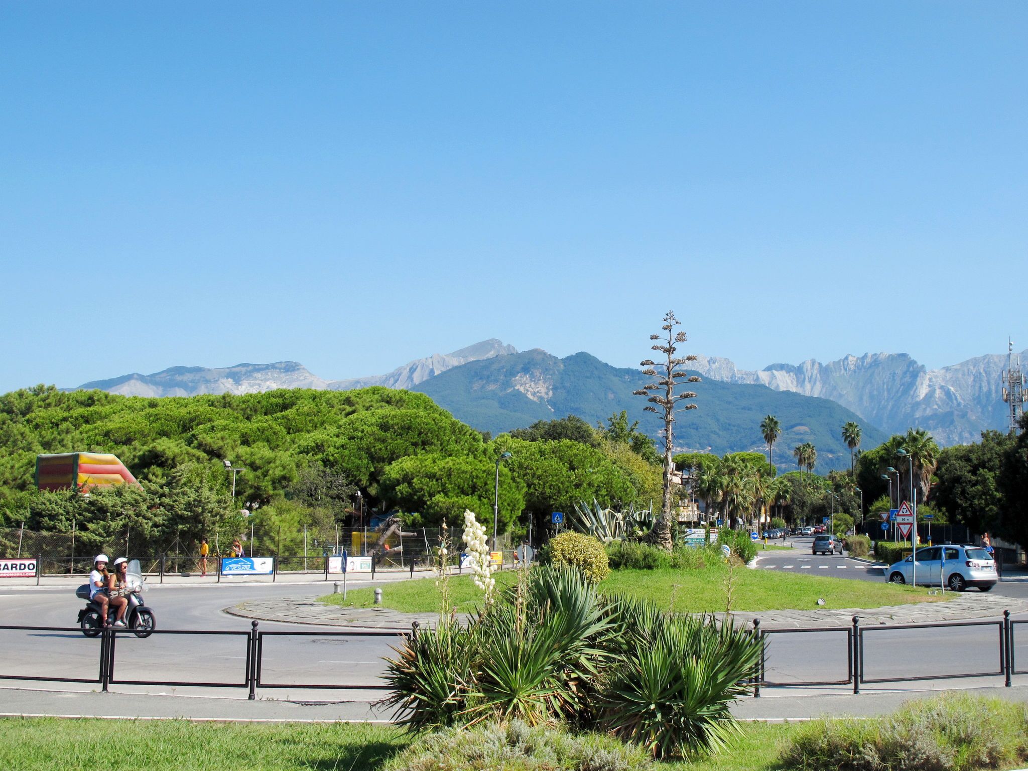 A roundabout with a traffic island in the center, surrounded by greenery and palm trees.