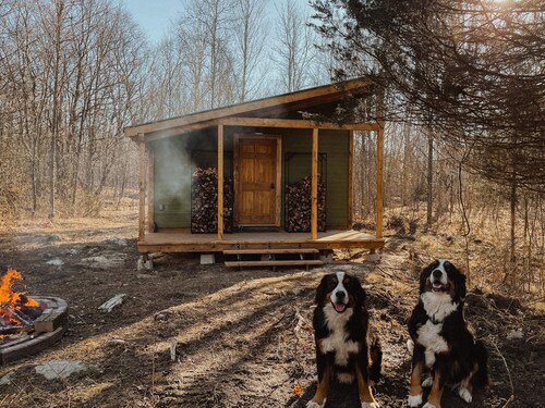 Jacks cabin in the woods