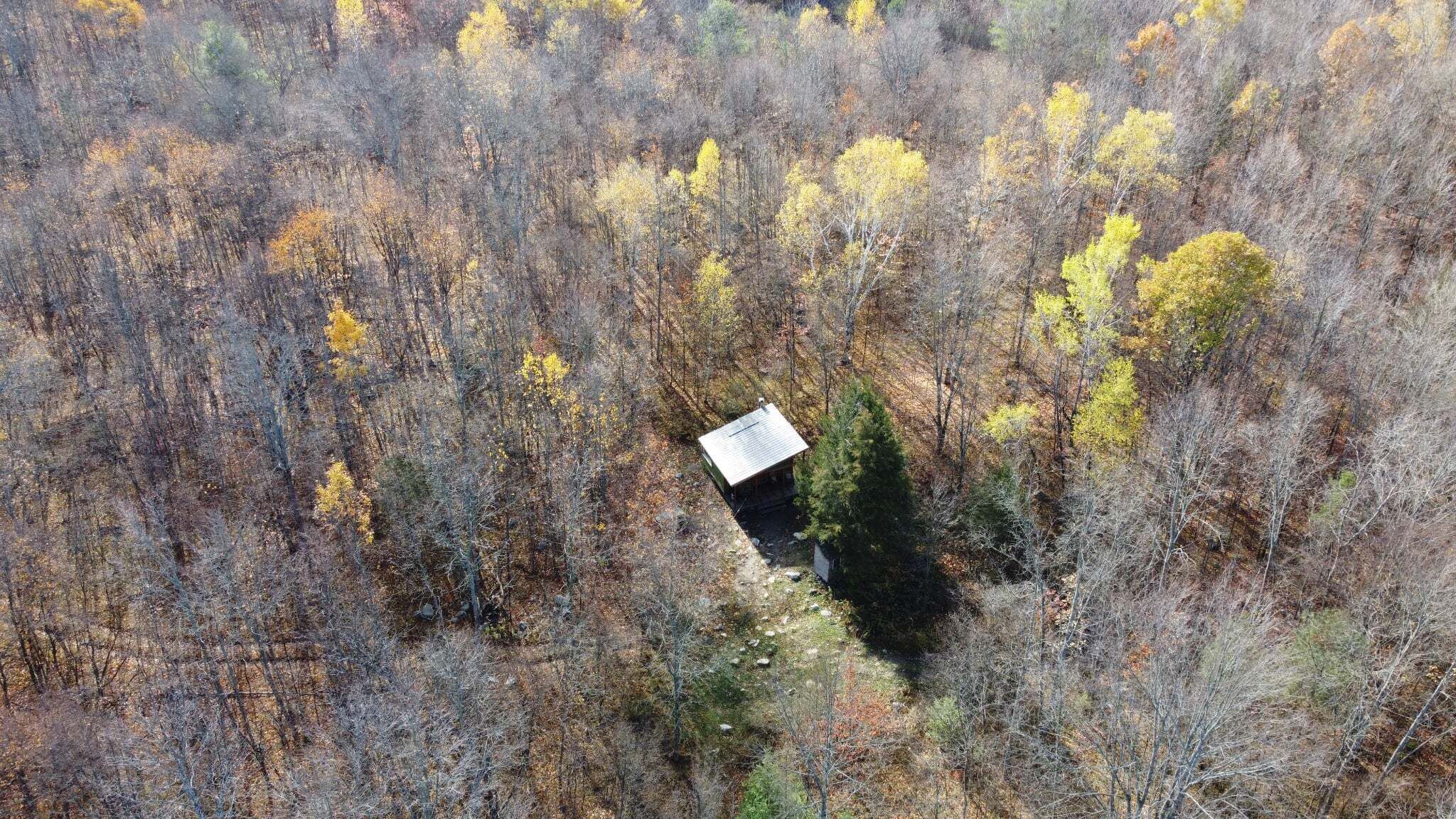 Uma cabana isolada rodeada por uma floresta densa com folhagem de outono.