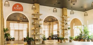 Interior - Steps to Bishop Arts, Private Yard + Pet-Friendly (Dallas)