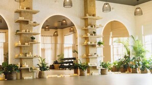 Tilava aula, jossa on suuri Jungle Studio Fitness -kyltti, useita holvikaaria ja erilaisia ruukkukasveja.