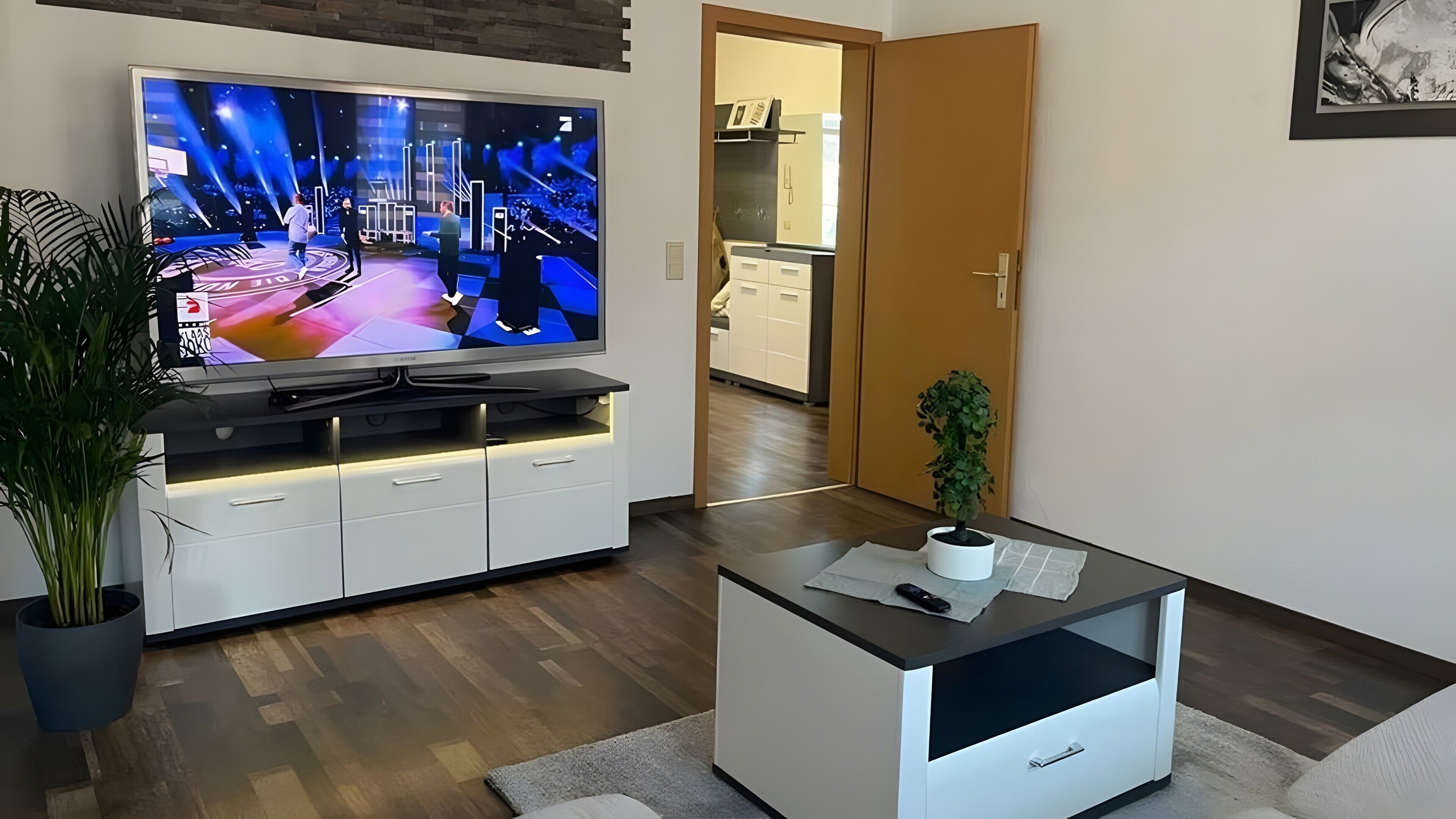 Fernseher