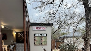 Una zona de recepción con mostrador, un cartel que dice 'SIGHTINGS BOARD' y una estatua de ciervo.