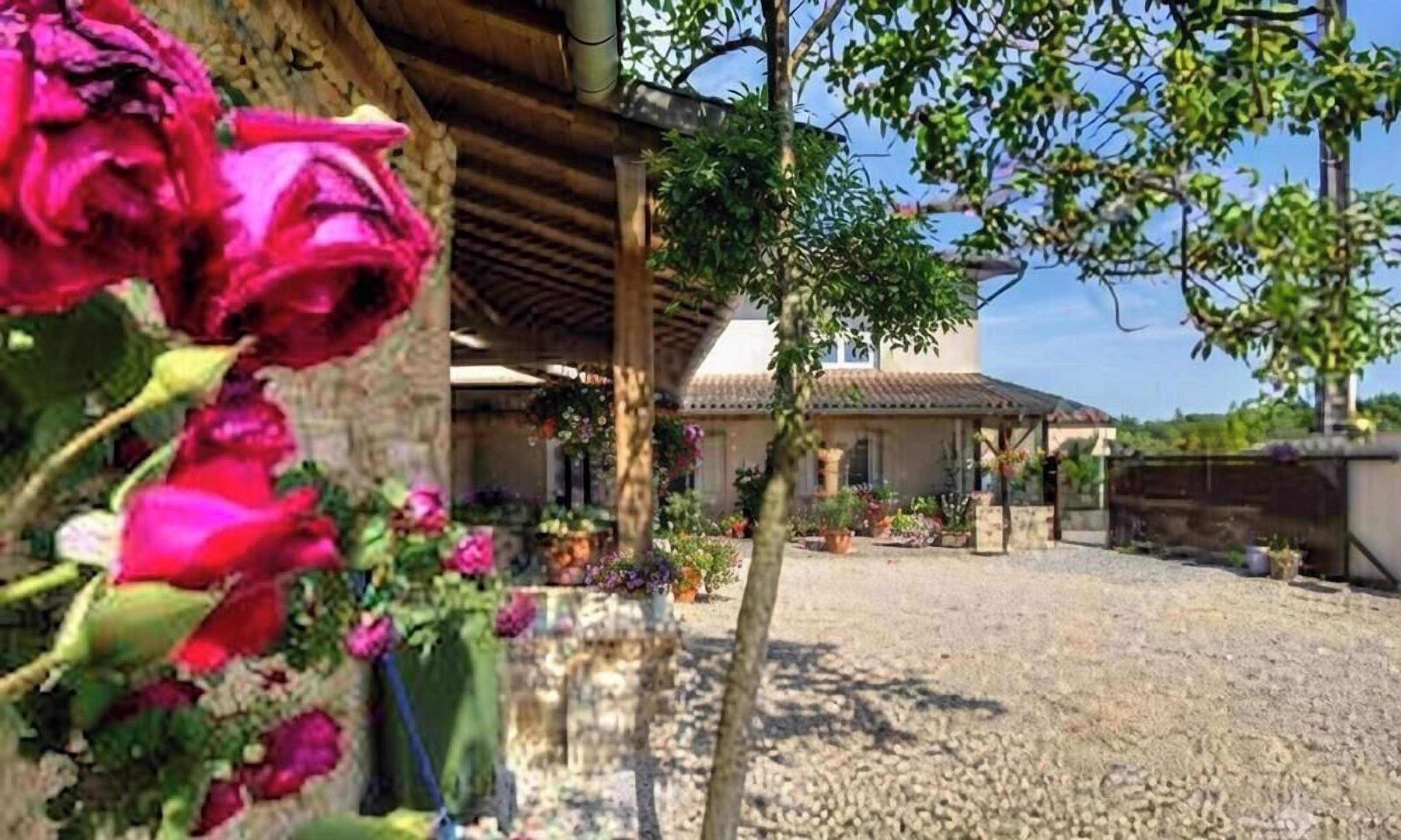 Jardines del alojamiento