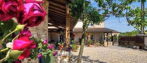 A courtyard with a stone floor, a wooden pergola, and a building with a tiled roof in the background.