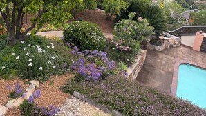 A landscaped garden with a swimming pool, various plants, and a view of a hillside with buildings. - San Deigo Mountaintop Retreat -- SPECTACULAR! (La Mesa)