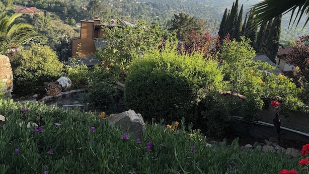 A garden with a view of a cityscape. - San Deigo Mountaintop Retreat -- SPECTACULAR! (La Mesa)