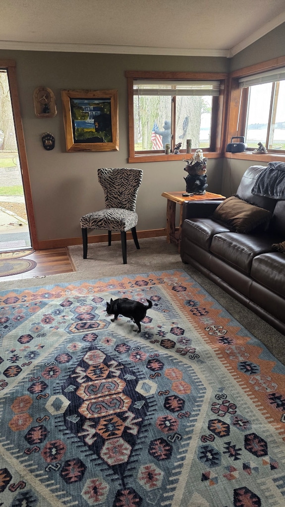 Tranquil 1-bedroom Cottageon Beautiful Sanford Lake! - Midland, MI