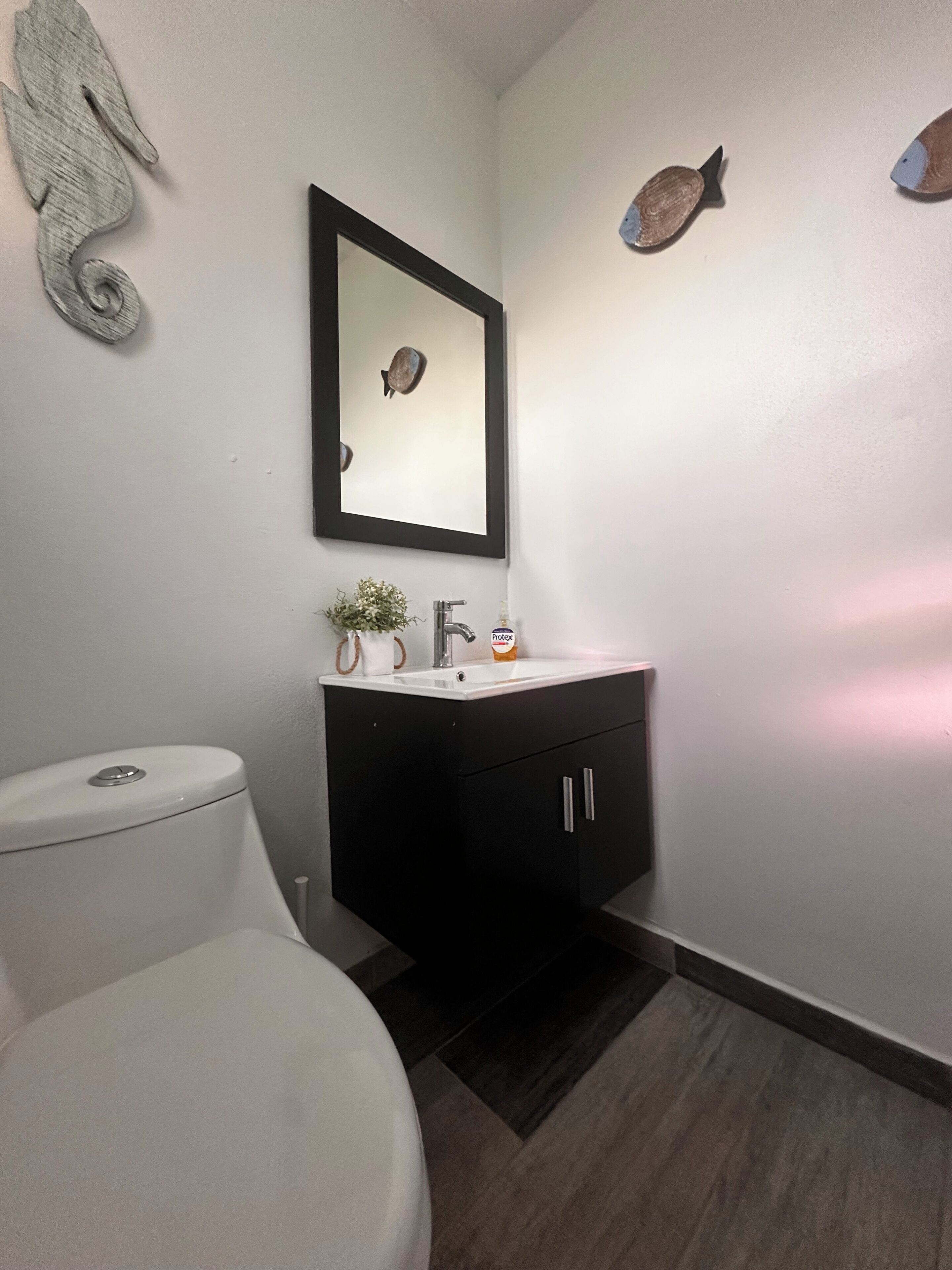 A bathroom with a toilet, a sink with a mirror above it, and decorative fish on the wall.