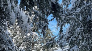 A cabin with a snow-covered roof, wooden porch, and red chairs. - Henrys cabin on the river (Northbrook)