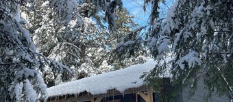 Henrys cabin on the river