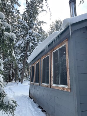 A cabin with large windows, surrounded by snow-covered trees.