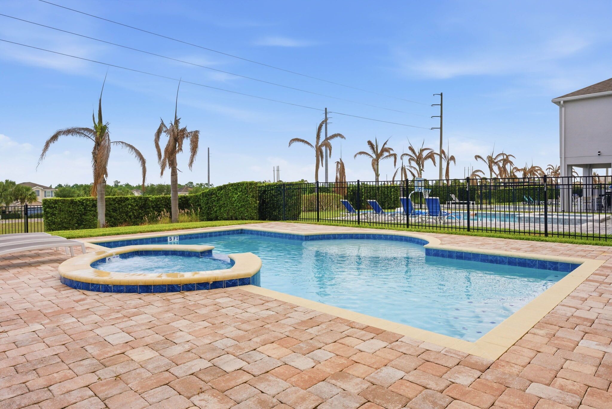 A swimming pool with a hot tub, surrounded by palm trees and a fence.