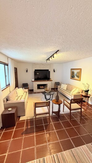 TV, fireplace