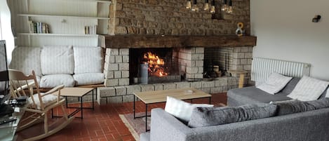 TV, fireplace, books
