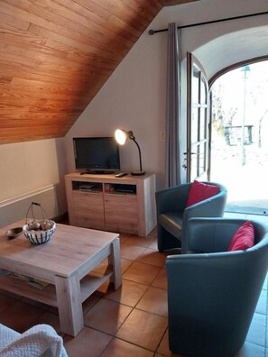 TV, fireplace, DVD player, books - Gîte de Fermigous in Montgros (LE PONT-DE-MONTVERT)