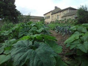 Un sendero en un jardín que lleva a un edificio de piedra con ventanas amplias y un tejado tradicional.