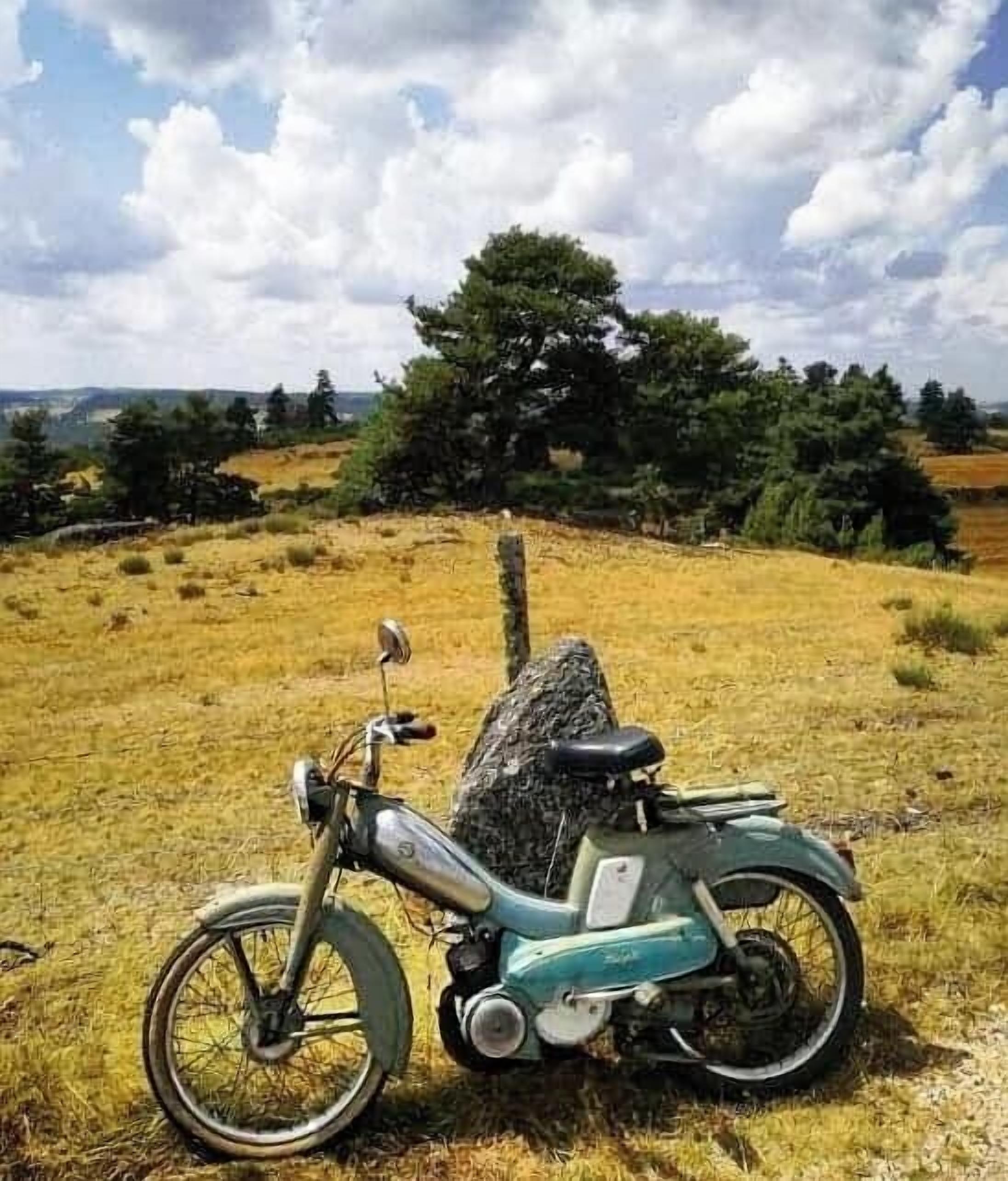 A vintage motorcycle parked on a grassy field with a large rock and a tree in the background.